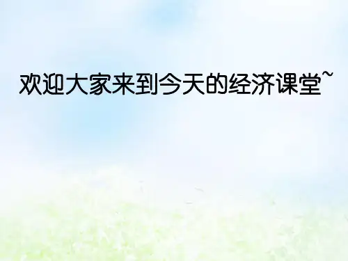 人教版高中政治必修一 2.2价格变动的影响(共36张PPT)