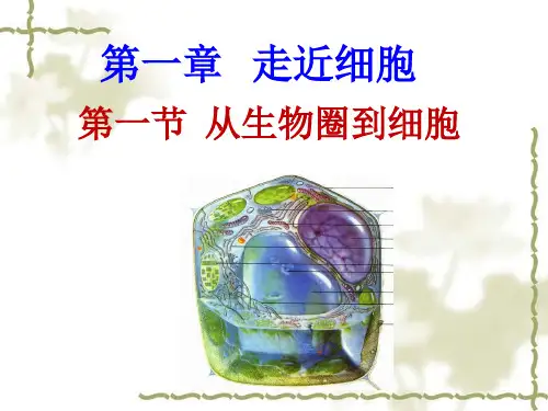 【新教材】人教版初中生物生物圈ppt优质课件1