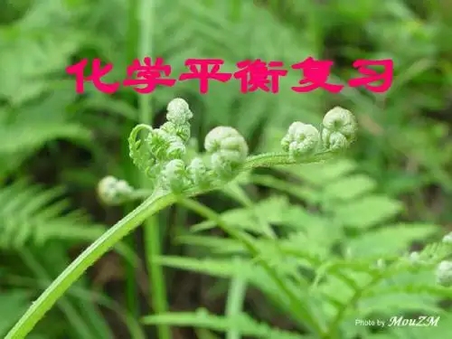 高三化学第二轮专题复习：《化学平衡》课件