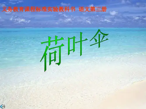 荷叶伞PPT课件