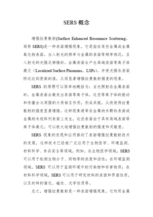 sers概念