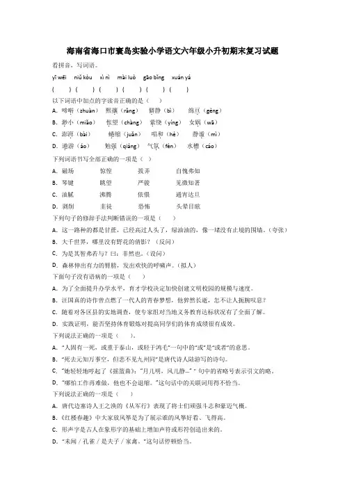 海南省海口市寰岛实验小学语文六年级小升初期末复习试题
