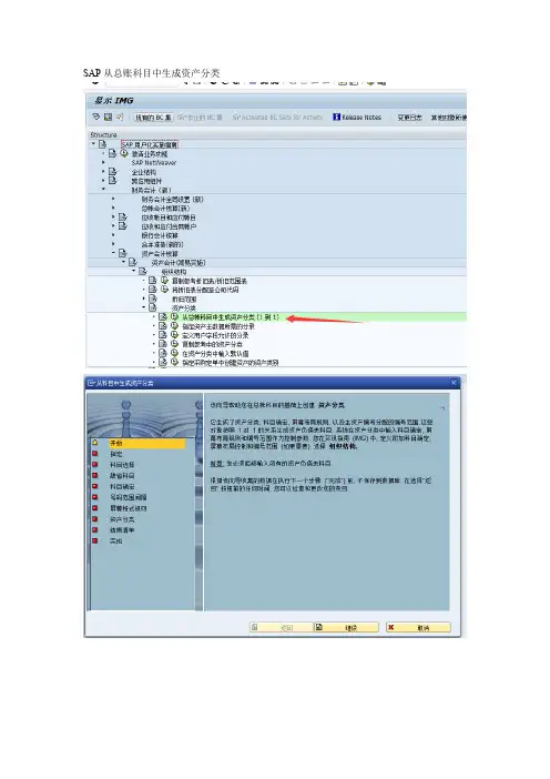 SAP生成资产分类