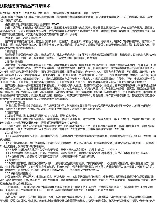 浅谈越冬菠菜的高产栽培技术