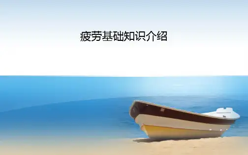 疲劳基础知识介绍