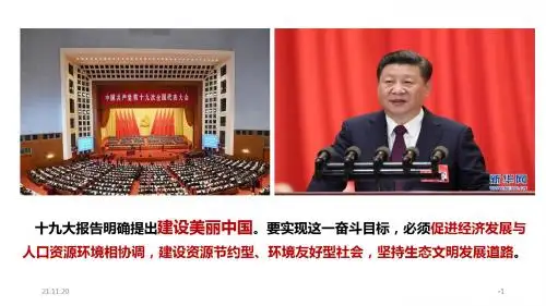 人教部编版《道德与法治》九年级上册6.1《正视发展挑战》精品课件(共38张PPT)