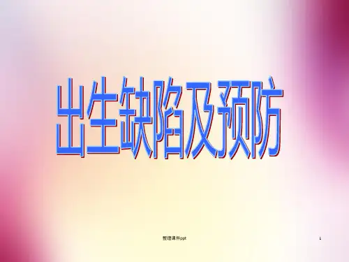 《出生缺陷及预防》PPT课件