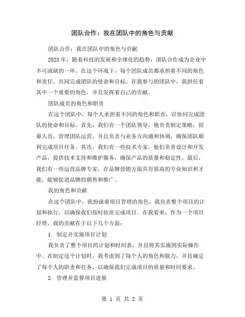 团队合作：我在团队中的角色与贡献