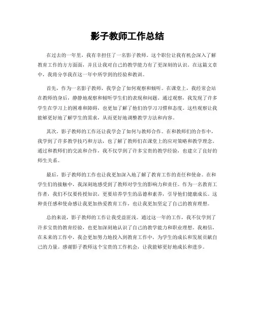 影子教师工作总结