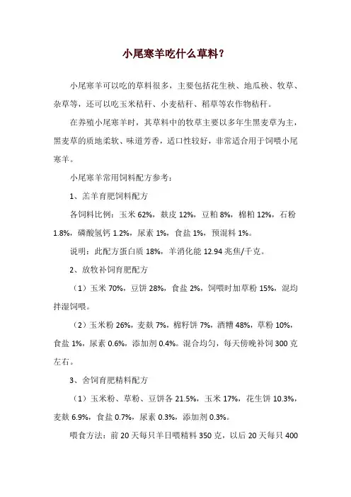 小尾寒羊吃什么草料？