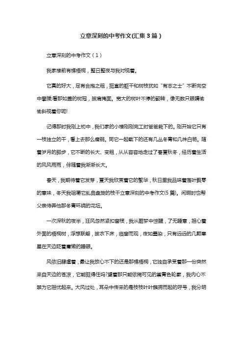 立意深刻的中考作文(汇集3篇)