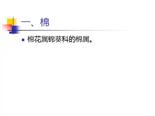 第12讲纺织纤维分类和特点PPT课件