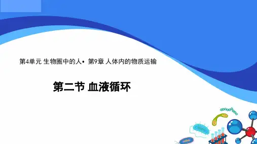 生物七年级下北师大版4.9.2血液循环课件(27张)