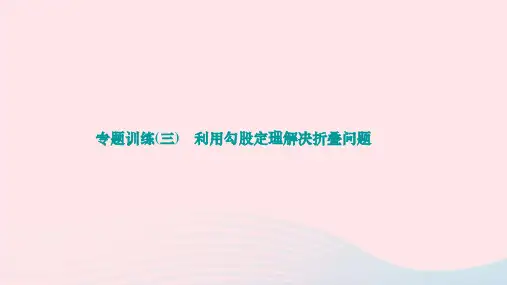 第十七章勾股定理专题训练三利用勾股定理解决折叠问题作业课件人教版八年级数学下册