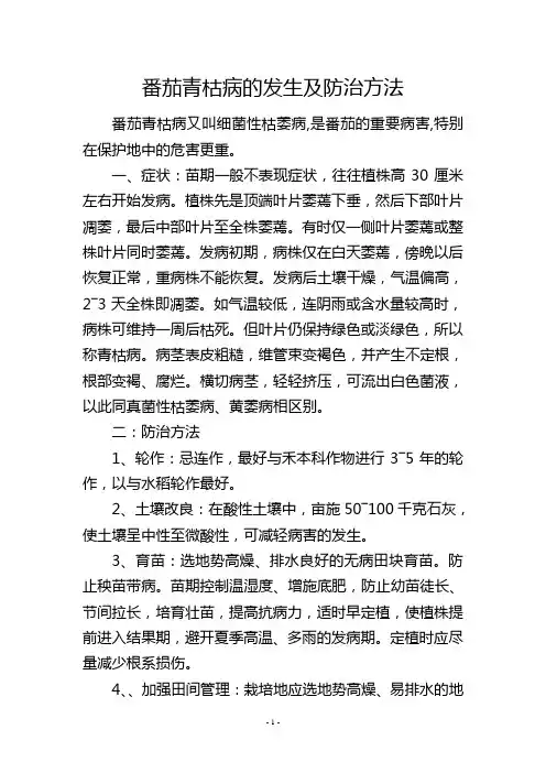 番茄青枯病的发生及防治方法
