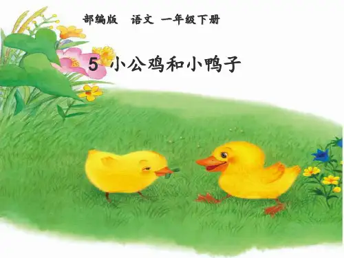 部编教材一年级下册语文《小公鸡和小鸭子》ppt1