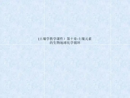 (土壤学教学课件)第十章-土壤元素的生物地球化学循环