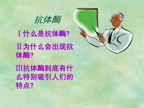 抗体酶