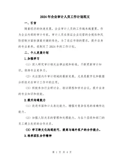 2024年企业审计人员工作计划范文