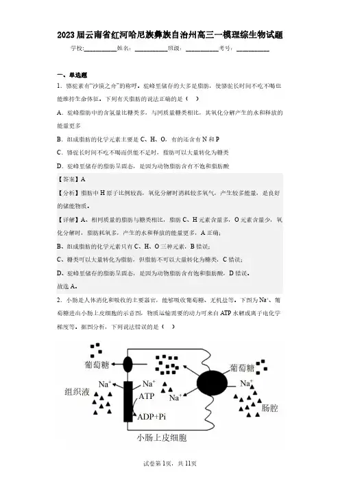 2023届云南省红河哈尼族彝族自治州高三一模理综生物试题(含答案解析)