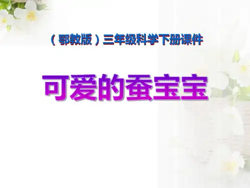 可爱的蚕宝宝 PPT优秀课件