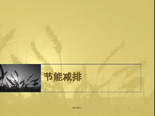 节能减排讲座PPT(精编课件).ppt