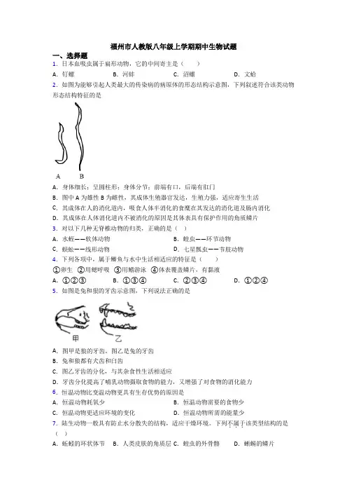 福州市人教版八年级上学期期中生物试题
