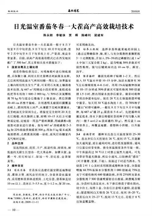 日光温室番茄冬春一大茬高产高效栽培技术