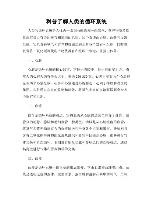 科普了解人类的循环系统