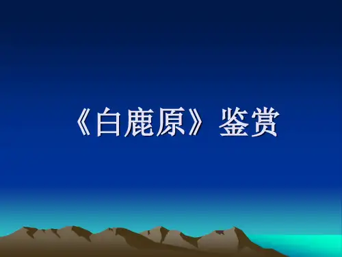 《白鹿原》鉴赏 Microsoft PowerPoint 演示文稿