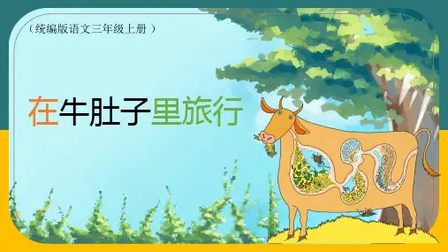部编版语文3年级上册《在牛肚子里旅行》课件(共28张PPT)