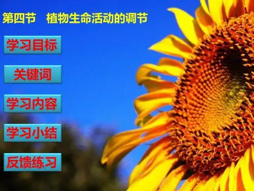 苏教版教学课件植物生命活动的调节(苏教版)