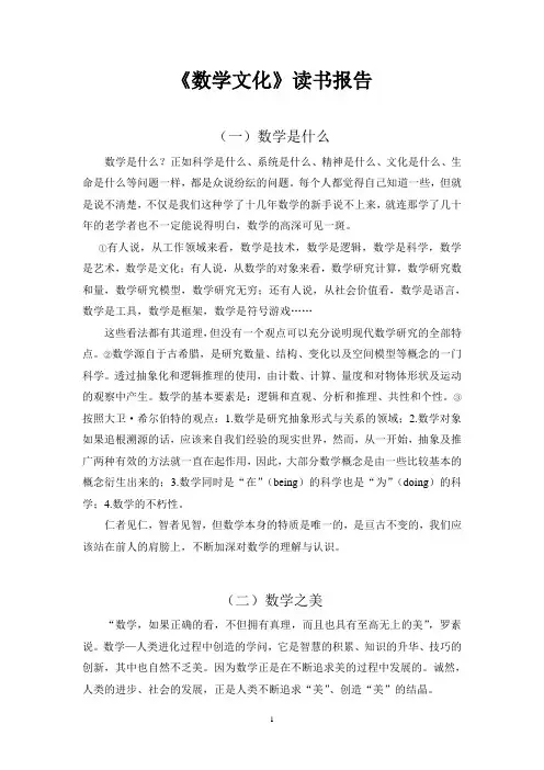 数学文化读书报告