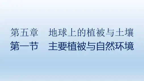 新教材2021-2022学年地理湘教版必修第一册课件：第五章 