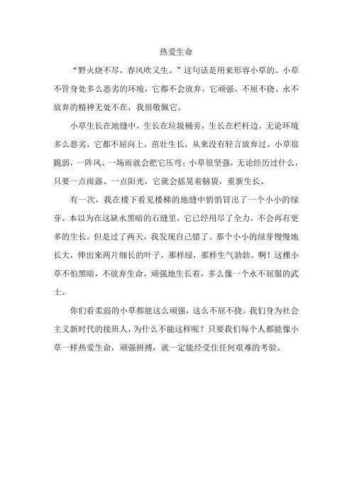 小学四年级下册语文 第五单元作文范文热爱生命4