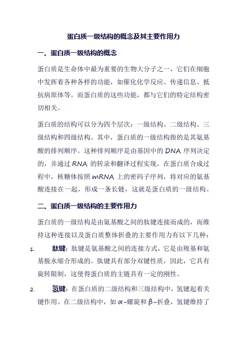 蛋白质一级结构的概念及其主要作用力