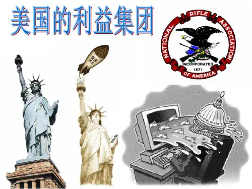 34美国的利益集团汇总