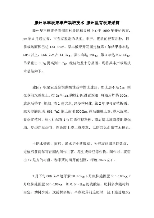 滕州早丰板栗丰产栽培技术 滕州里有板栗采摘