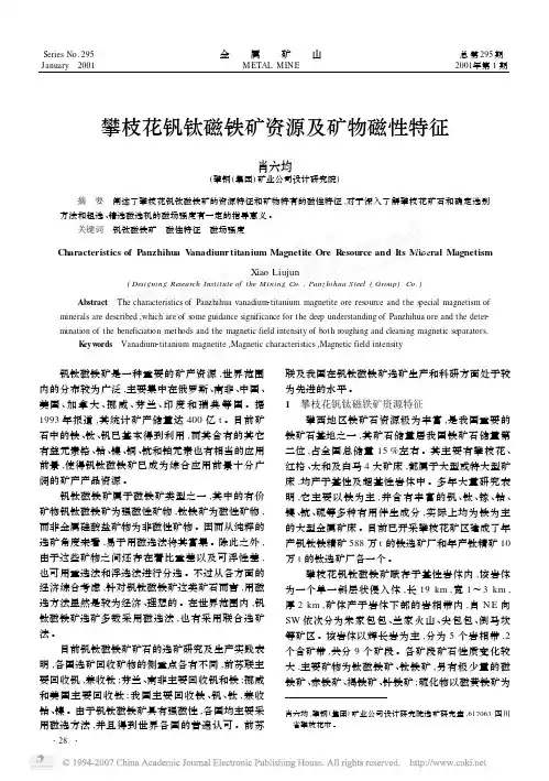 攀枝花钒钛磁铁矿资源及矿物磁性特征