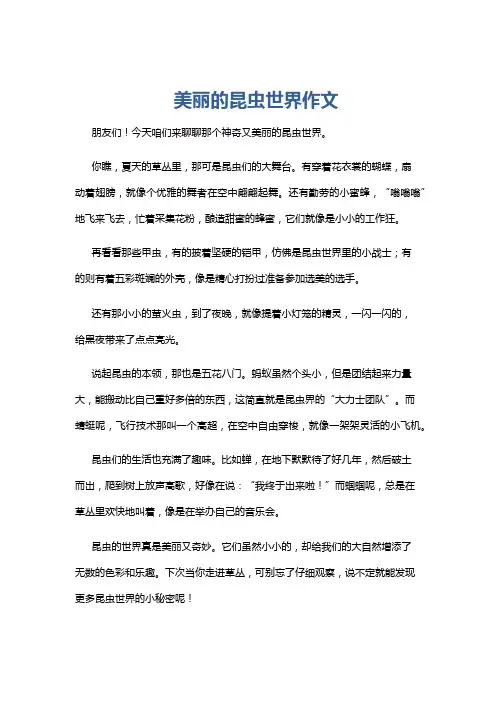 美丽的昆虫世界作文