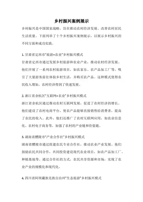 乡村振兴案例展示