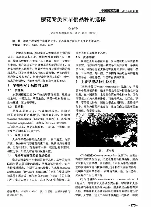 樱花专类园早樱品种的选择