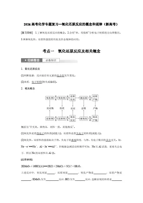 2024高考化学专题复习—氧化还原反应的概念和规律(新高考)