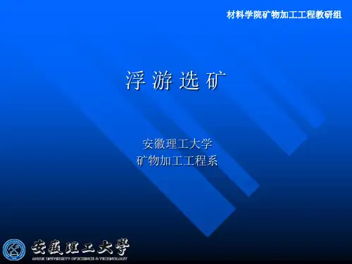 浮选基本原理(安徽理工)