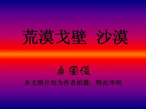 桑国俊 荒漠戈壁 沙漠