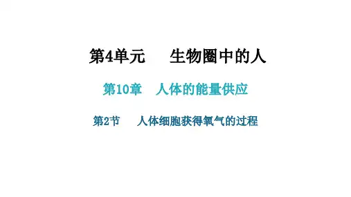 2020-2021学年北师大版七年级生物下册第10章第2节   人体细胞获得氧气的过程