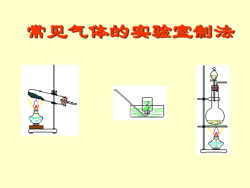 常见气体的实验室制法PPT课件