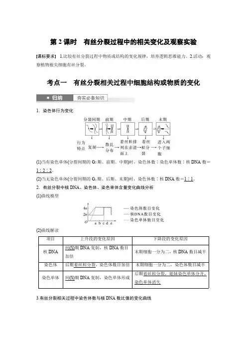 2024届高考一轮复习生物教案(苏教版)：有丝分裂过程中的相关变化及观察实验