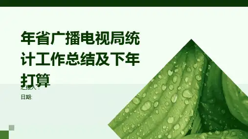 年省广播电视局统计工作总结及下年打算