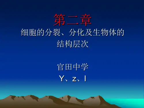 细胞分裂、分化及生物体结构层次